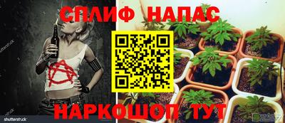 мескалин Моздок