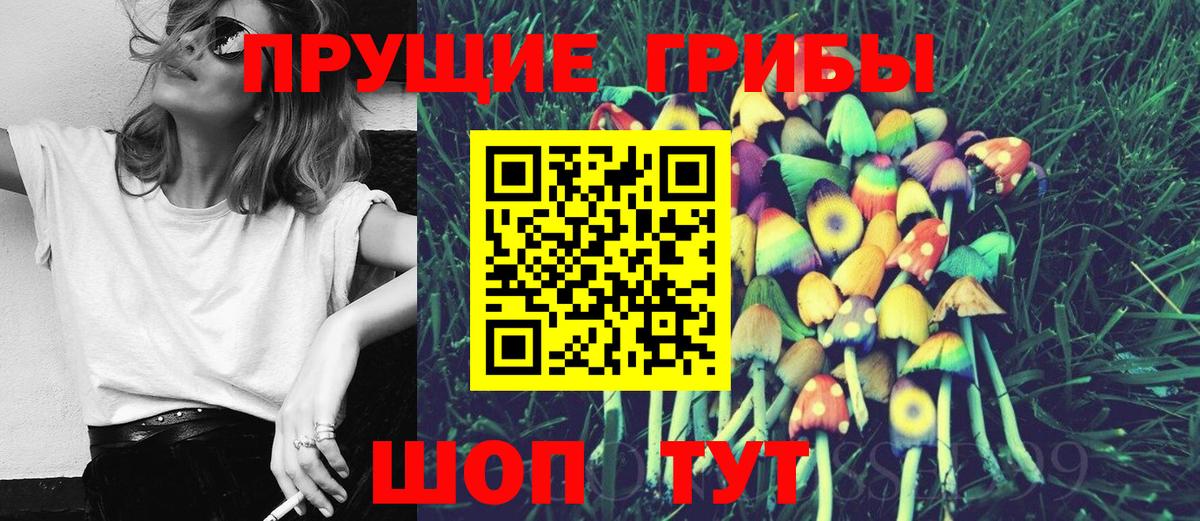 Псилоцибиновые грибы MAGIC MUSHROOMS  Вход с VPN  Сосновоборск 